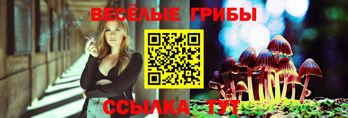 Галлюциногенные грибы GOLDEN TEACHER Калуга